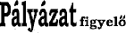 www.pafi.hu
