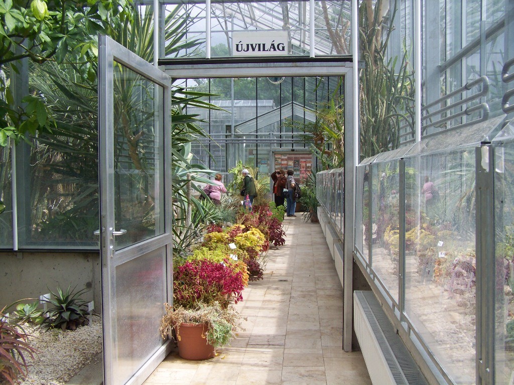 A Pálmaház bejárata