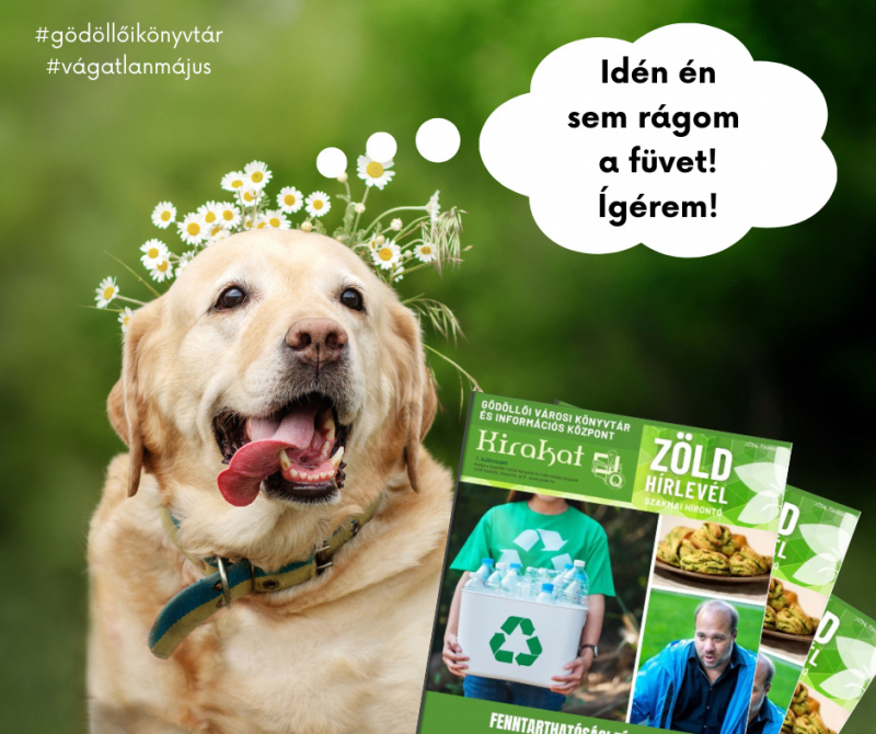Zöld Hírlevél - Tavasz - 2024
