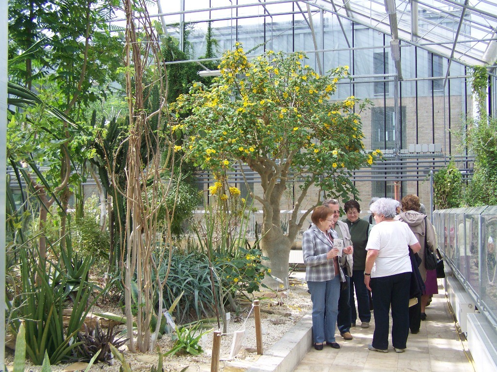 Pálmaházi barangolás 