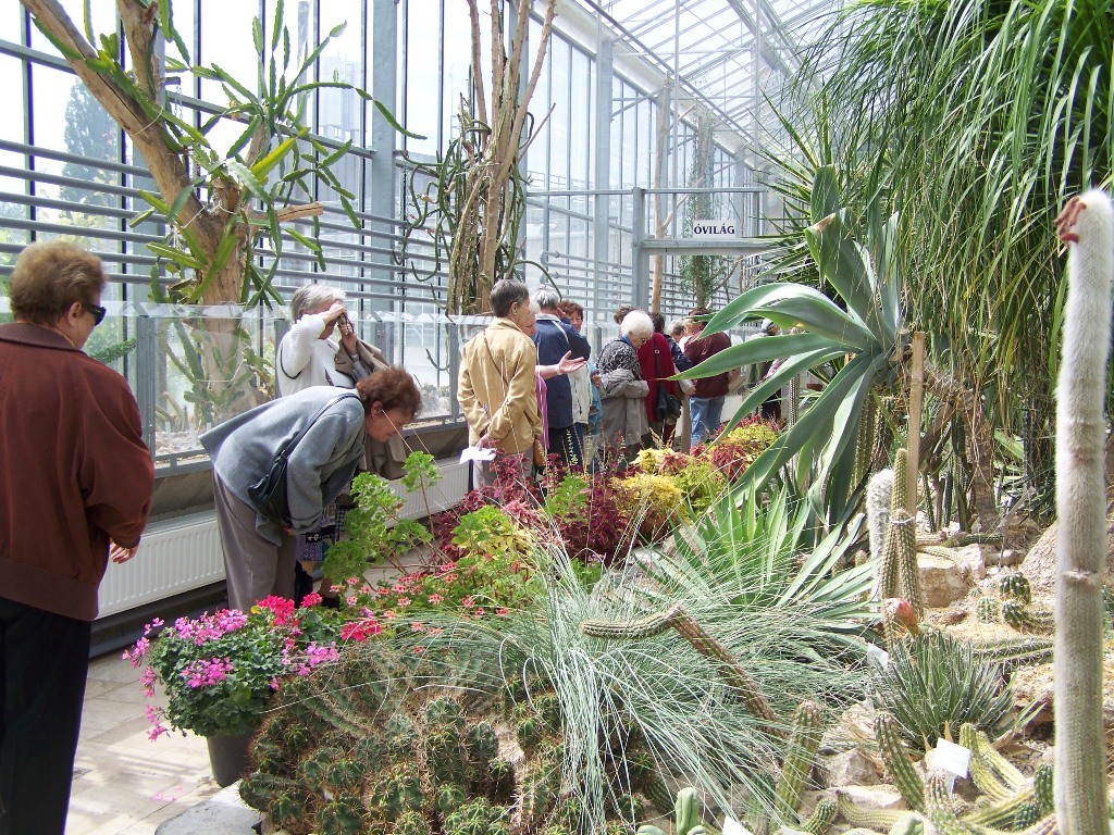 Pálmaházi barangolás 