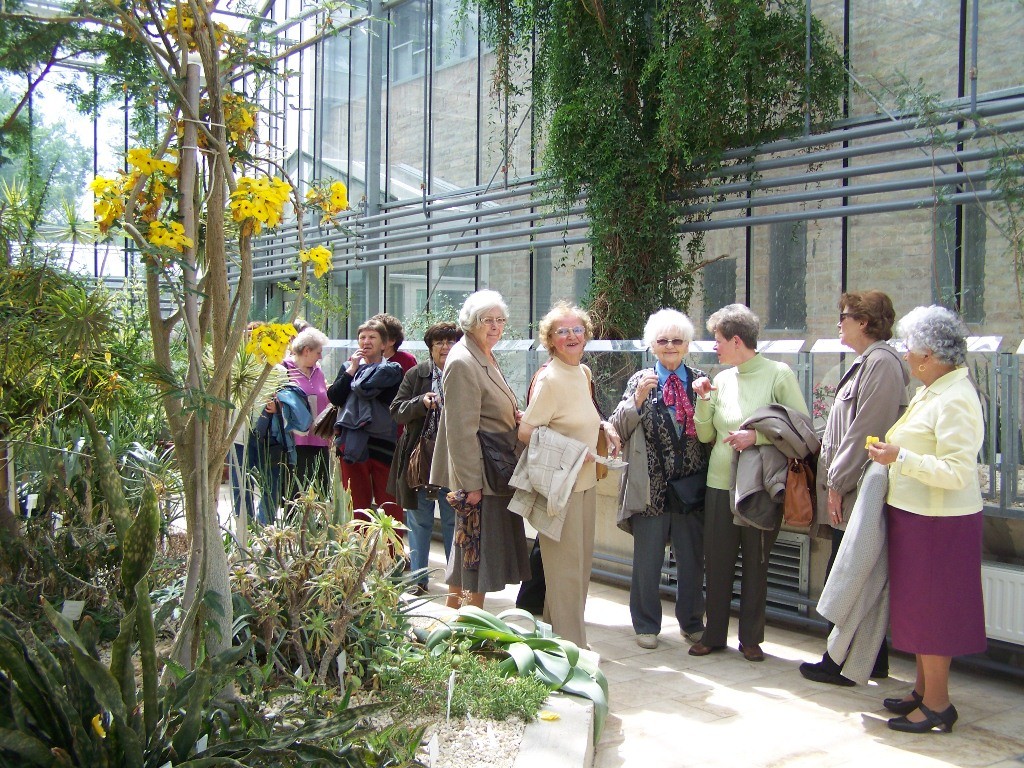 Pálmaházi barangolás 