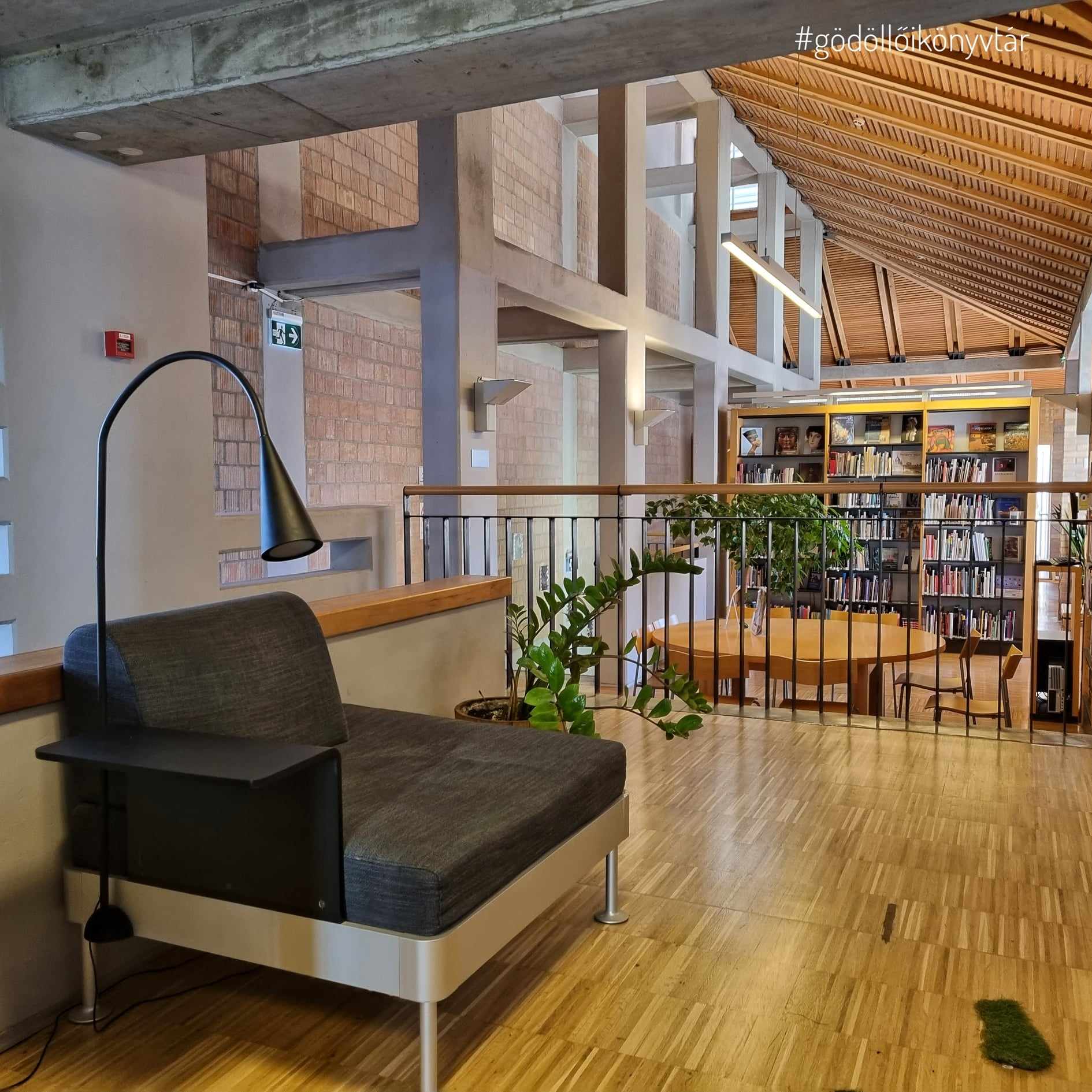 Felnőtt kölcsönző